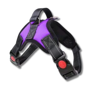 Pechera Para Perro. Grande 62-77cm - Lila