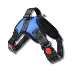 Pechera para Perro. Grande 62-77cm - Azul