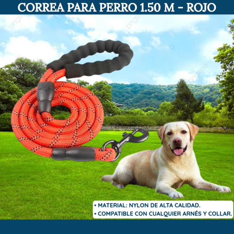 Correa Para Perros 1,5 metros Rojo - Imagen 2