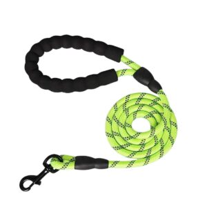 Correa Para Perros 1,5 metros Verde