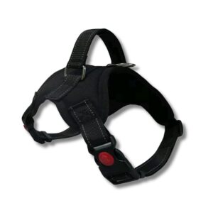 Pechera Para Perro. Grande 62-77cm -  Negro